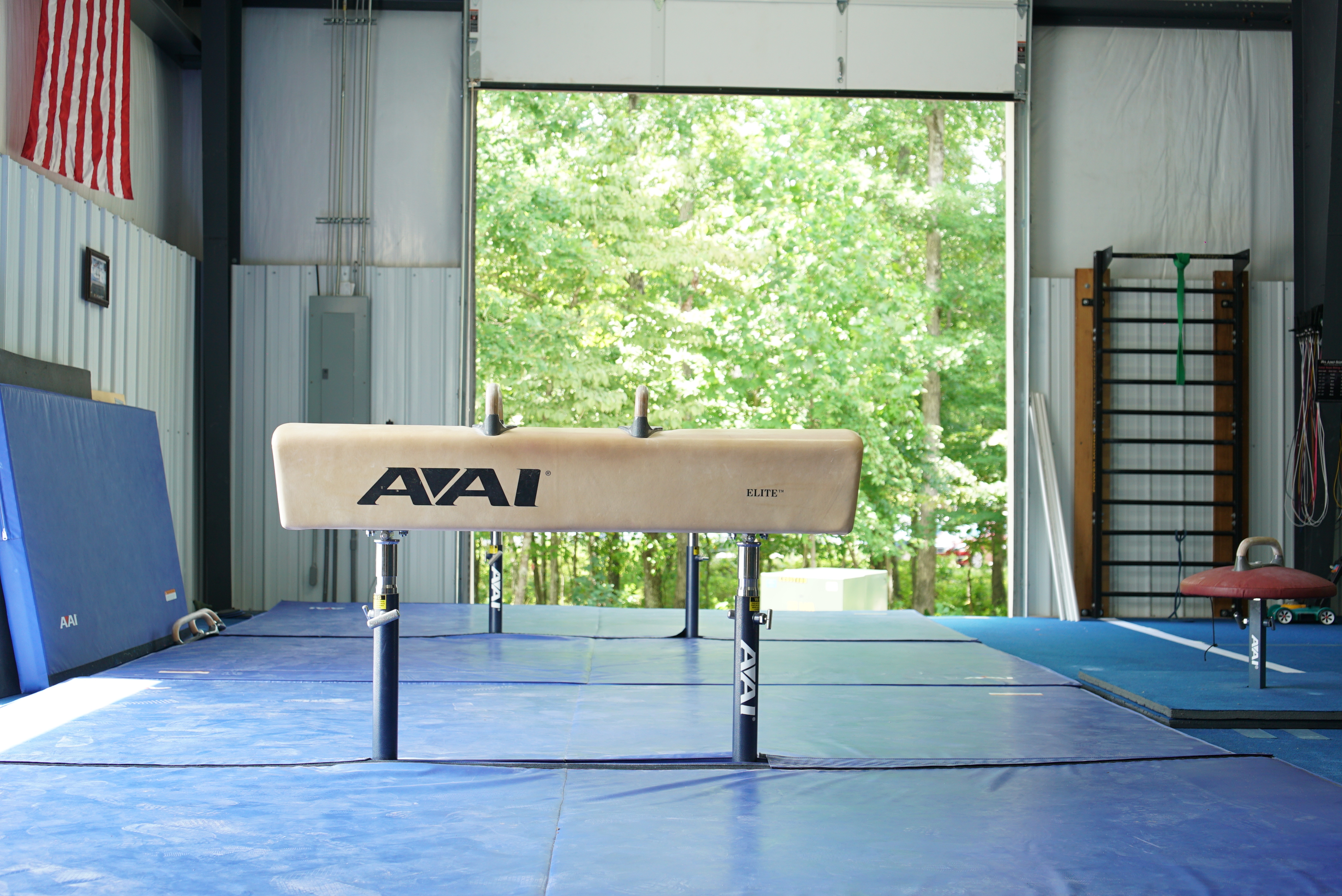 DEMO International ELITE Pommel Horse