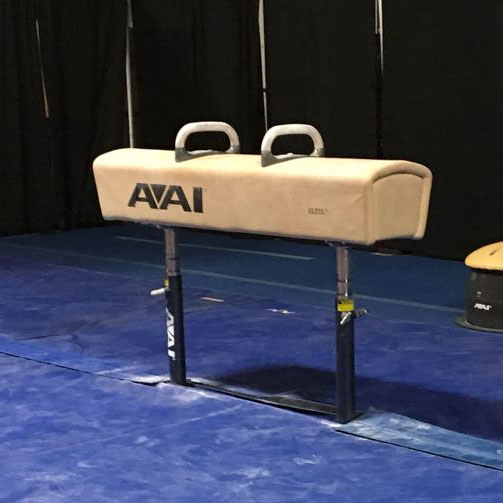 DEMO International ELITE Pommel Horse