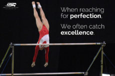 Catch Excellence Motivational Gymnastics Poster