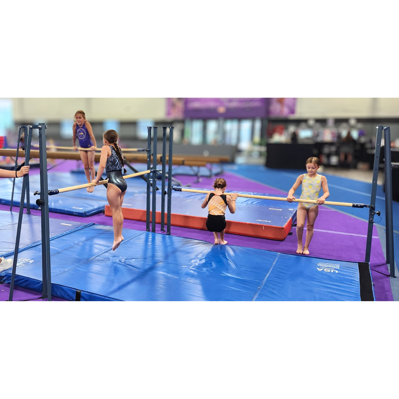 AAI Quad Bars - Image 2